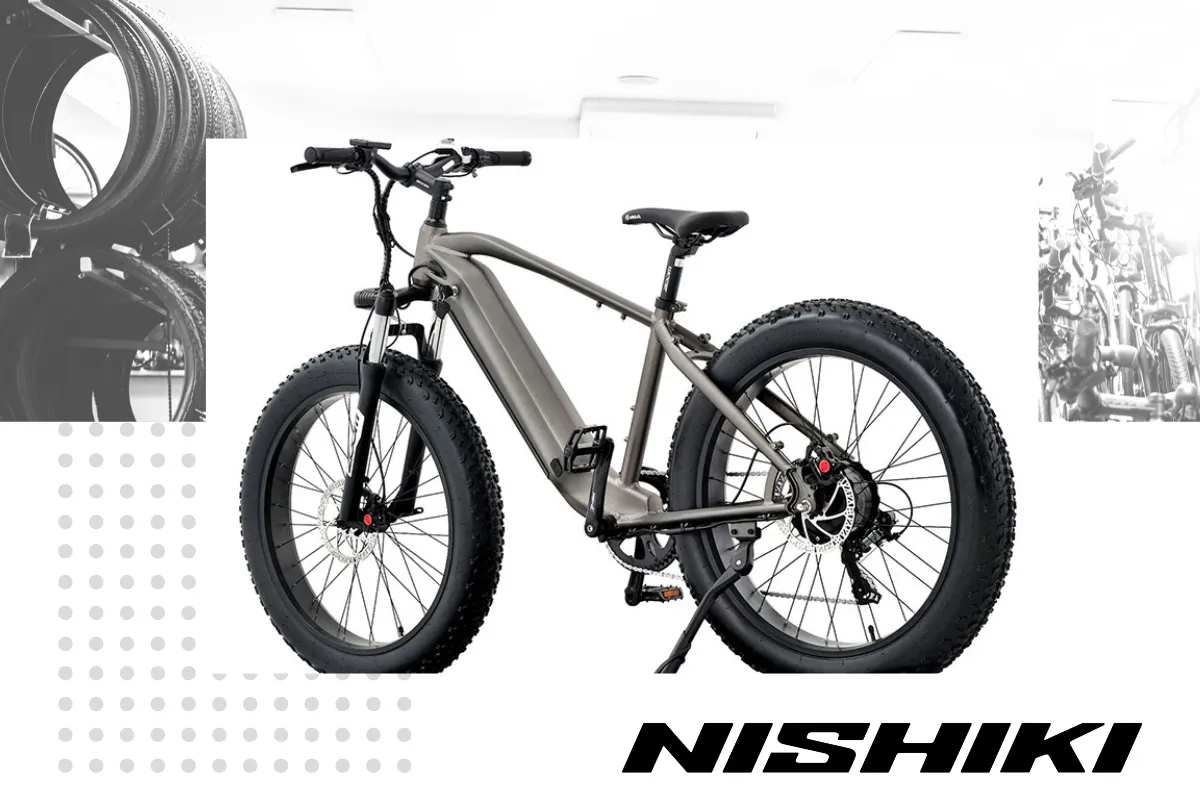 Xe đạp địa hình bánh to (Fat bike) cao cấp giá tốt