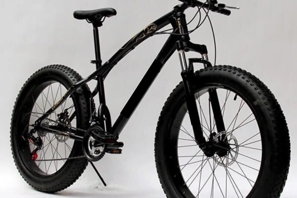 Xe đạp địa hình bánh to (Fat bike) cao cấp giá tốt