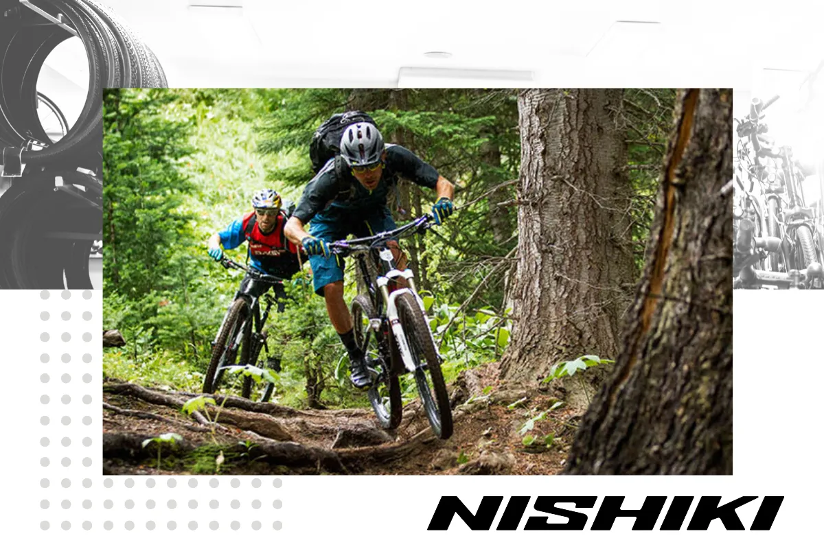 Xe đạp địa hình leo núi: All Mountain Bike và Enduro Bike
