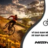 Vì Sao Bạn Nên Mua Xe Đạp Địa Hình Cũ?