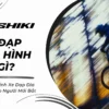 Cách Chỉnh Xe Đạp Địa Hình Cho Người Mới Bắt Đầu