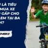 Đâu là tiêu chí mua xe đạp gấp cho trẻ em tại Ba Đình?