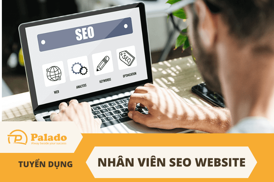 PALADO Tuyển Dụng: Nhân Viên SEO Website