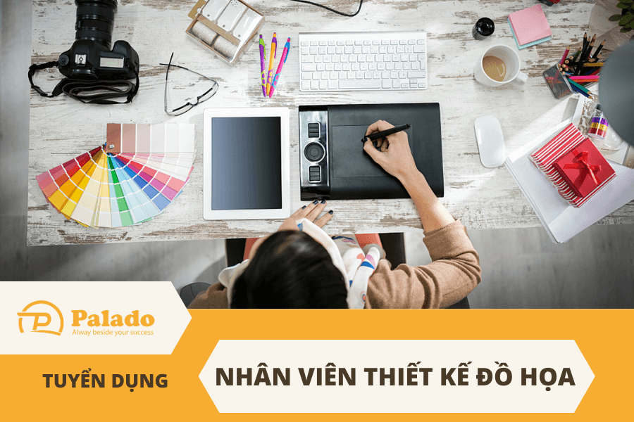 PALADO Tuyển Dụng: Nhân Viên Thiết Kế Đồ Hoạ