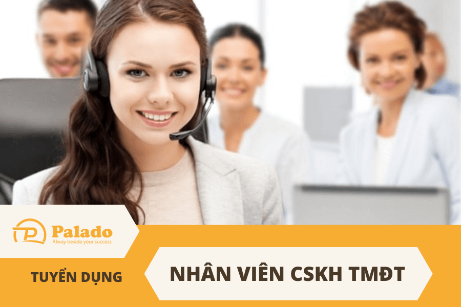 Vị trí Nhân viên Chăm Sóc Khách Hàng Thương Mại Điện Tử