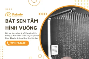 Bát sen tắm vuông và những điều bạn cần biết 1