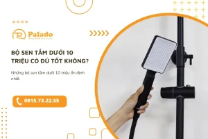 Bo sen tam duoi 10 trieu co du tot khong