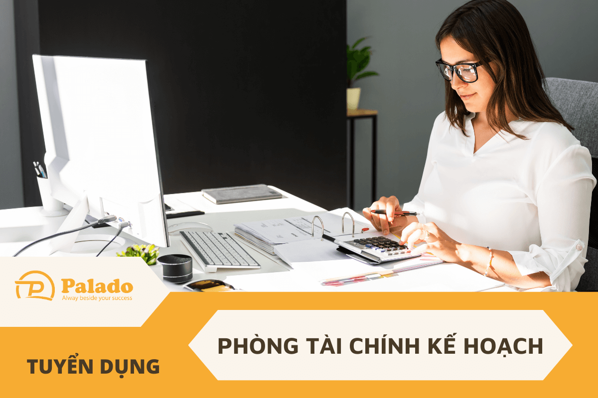 Palado Việt Nam Tuyển dụng phòng Tài chính, Kế hoạch