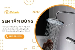 Sen tắm đứng và những ưu điểm nổi bật