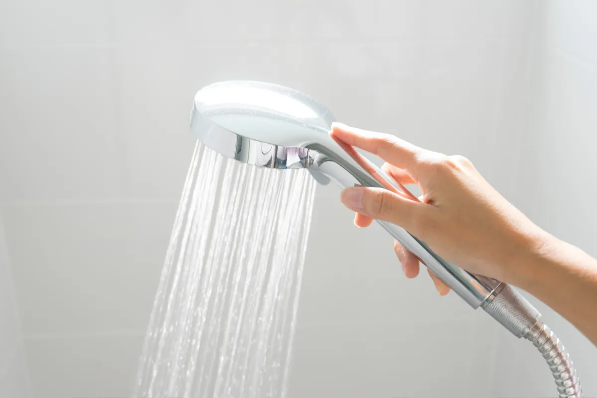 Từ A Z về vòi sen tắm và cách lựa chọn vòi sen cho gia đình (2) Vòi sen tắm là gì?
