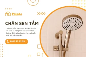 các vấn đề thường gặp của chân sen tắm và hướng dẫn xử lý