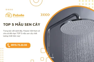 TOP 5 mẫu sen cây bán chạy nhất năm 2023