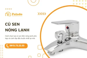 Những tiêu chí cần xem xét khi mua củ sen nóng lạnh