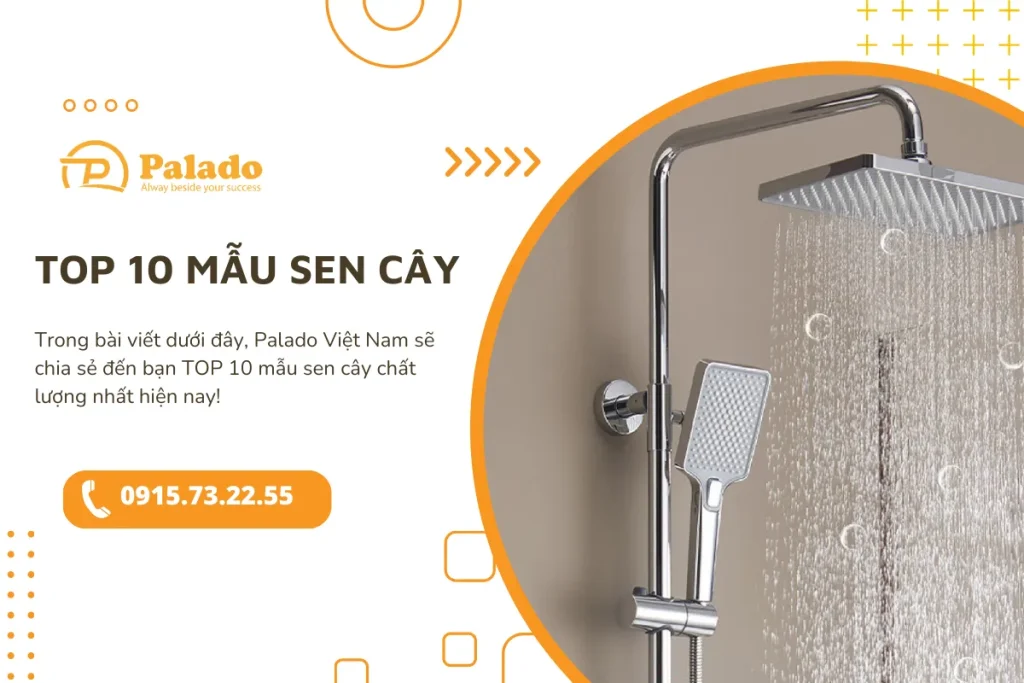 TOP 10 mẫu sen cây chất lượng nhất hiện nay