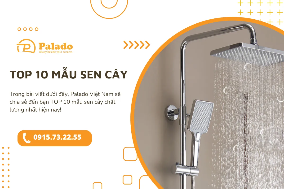 TOP 10 mẫu sen cây chất lượng nhất hiện nay
