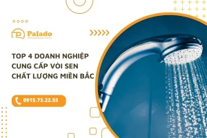 TOP 4 SEN VOI MIEN BAC
