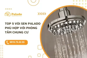 sen tam palado (1)