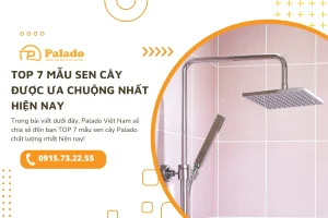 Top 7 mẫu sen cây Palado được ưa chuộng nhất hiện nay