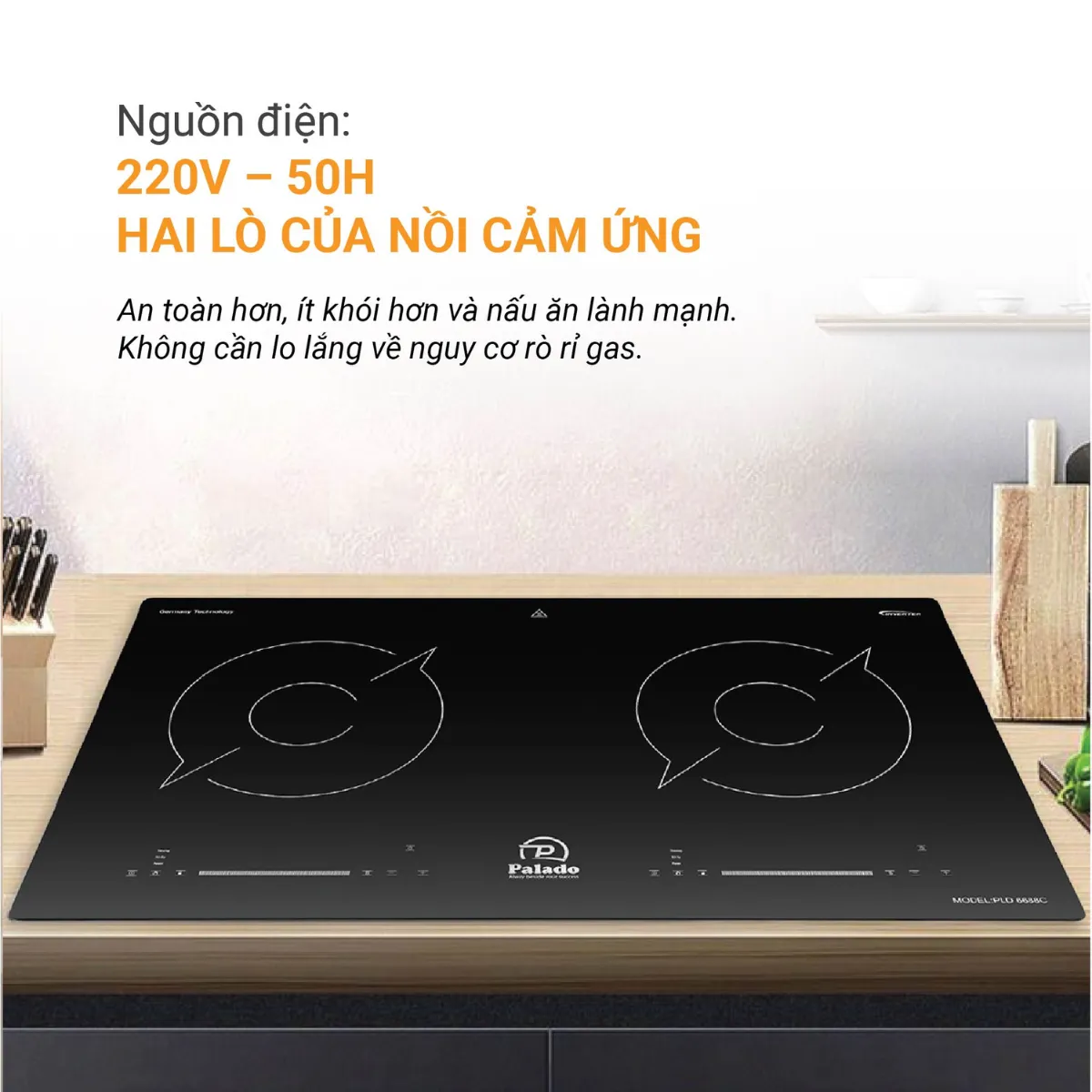 Bếp từ 2 vùng nấu Palado PLD6688C (2) Cam kết của PALADO