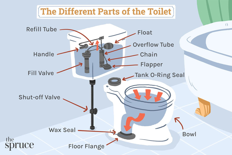 cau tao bon toilet cau tao bon toilet