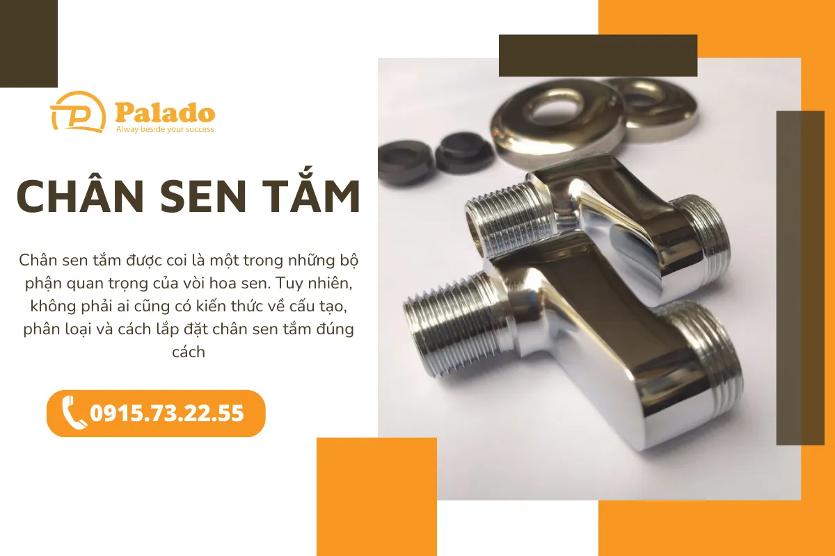 Chân sen tắm Tổng hợp các vấn đề thường gặp và hướng dẫn xử lý