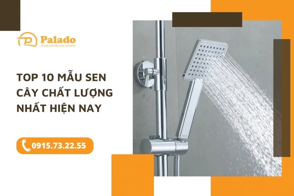 TOP 10 mẫu sen cây chất lượng nhất hiện nay