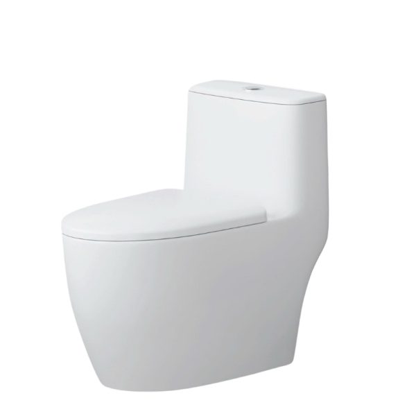 Bồn cầu liền khối xả xoáy Trắng PLD-671I