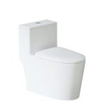 Giới thiệu về Bồn cầu liền khối xả xoáy Trắng PLD-671H
