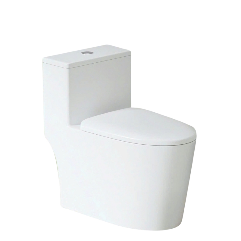Giới thiệu về Bồn cầu liền khối xả xoáy Trắng PLD-671H