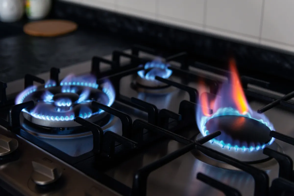 Bếp gas là lựa chọn phổ biến nhất tại Việt Nam, đặc biệt trong những gia đình truyền thống Bếp gas là lựa chọn phổ biến nhất tại Việt Nam, đặc biệt trong những gia đình truyền thống