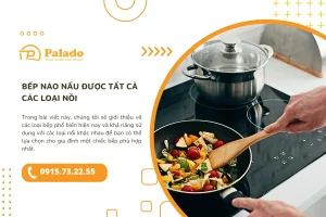 Bếp nào nấu được tất cả các loại nồi