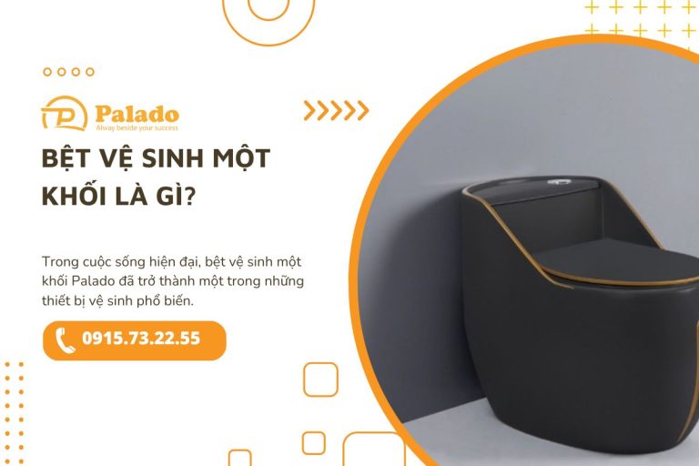Bệt vệ sinh một khối là gì