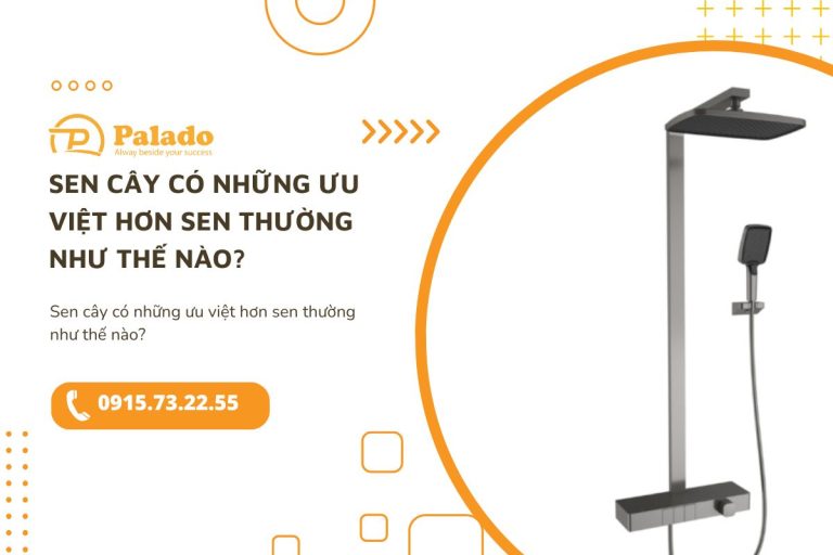 Sen cây có những ưu việt hơn sen thường như thế nào