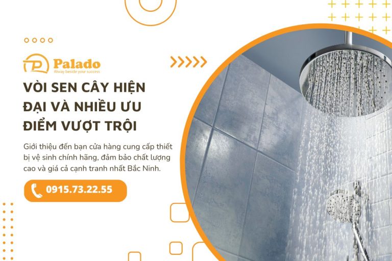 Vòi sen cây hiện đại và nhiều ưu điểm vượt trội