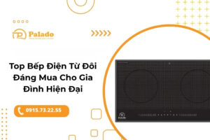 bếp điện từ đôi