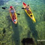 Chèo SUP và chèo kayak