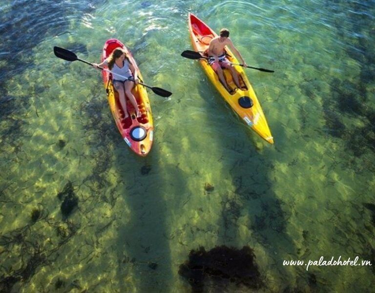 Chơi gì ở Mũi Né? Top 9 Trải Nghiệm Hấp Dẫn Nhất Định Phải Thử 2025 Với Khách sạn Palado