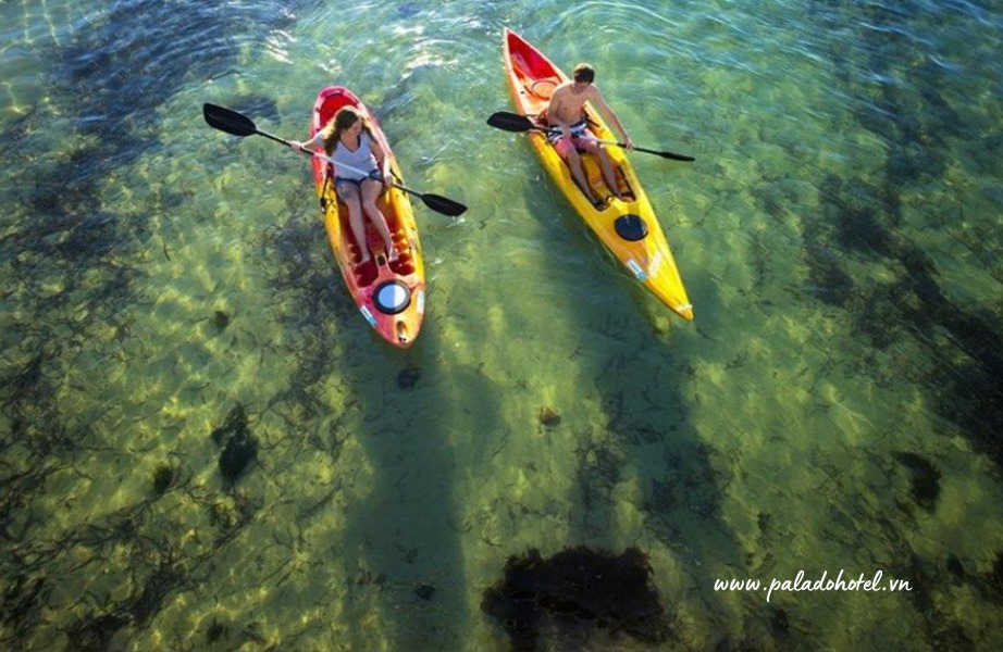 Chèo SUP và chèo kayak