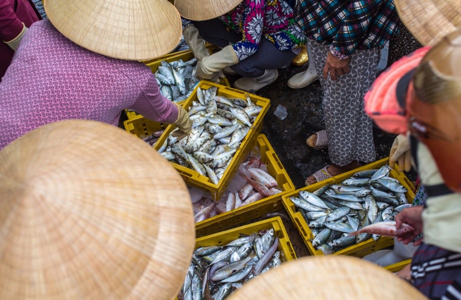Đặc sản quanh Bàu Trắng – Bàu Sen, Mũi Né và Lâm Đồng