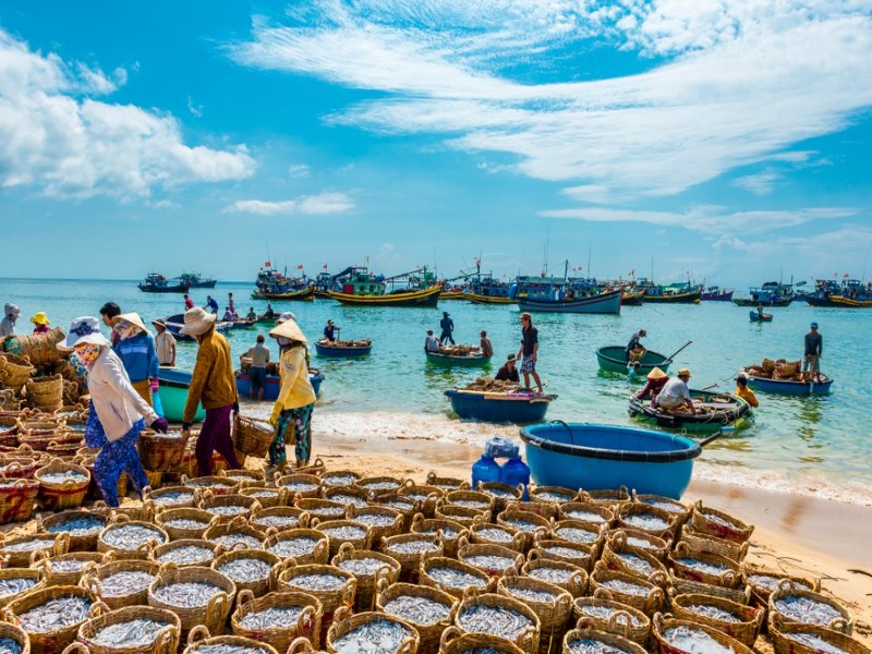 Du Lịch Phan Thiết 2 Ngày 1 Đêm