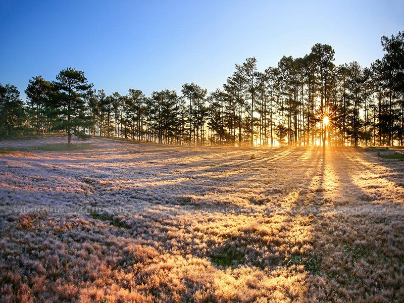 Tour Nha Trang Đà Lạt Mũi Né