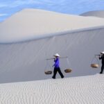 Tour Nha Trang Đà Lạt Mũi Né