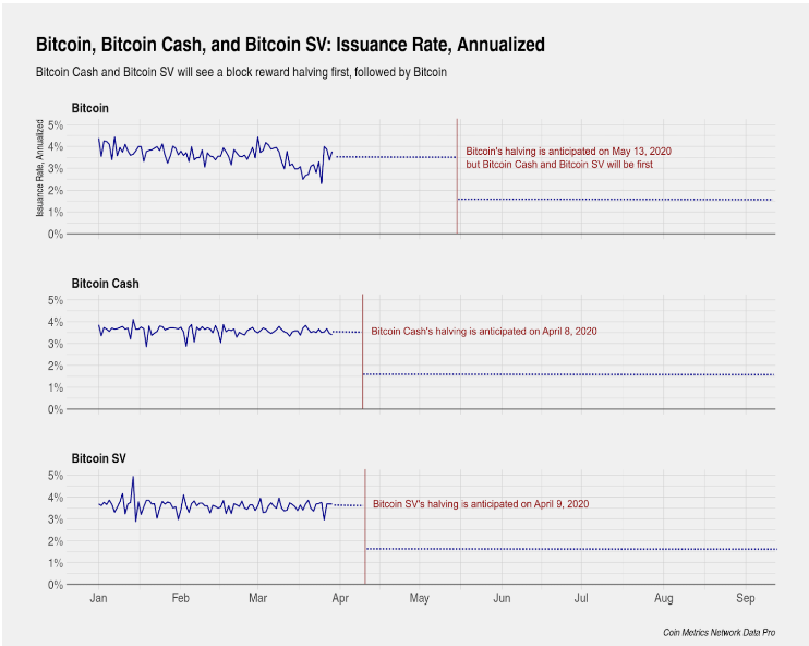 BTC, BCH, BSV halving 2020