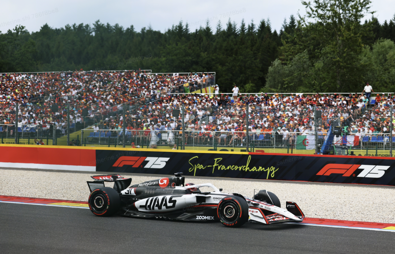 Zoomex trở thành đối tác chính thức của Haas F1 Team