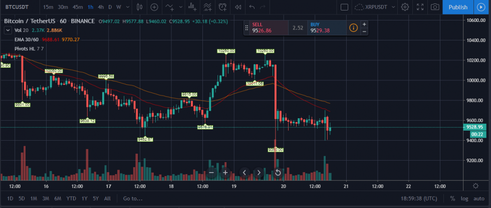 tradingview-20_02-btc Giá bitcoin ngày 20.02.2020