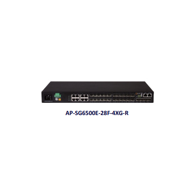 AP-SG6500E-28F-4XG-R