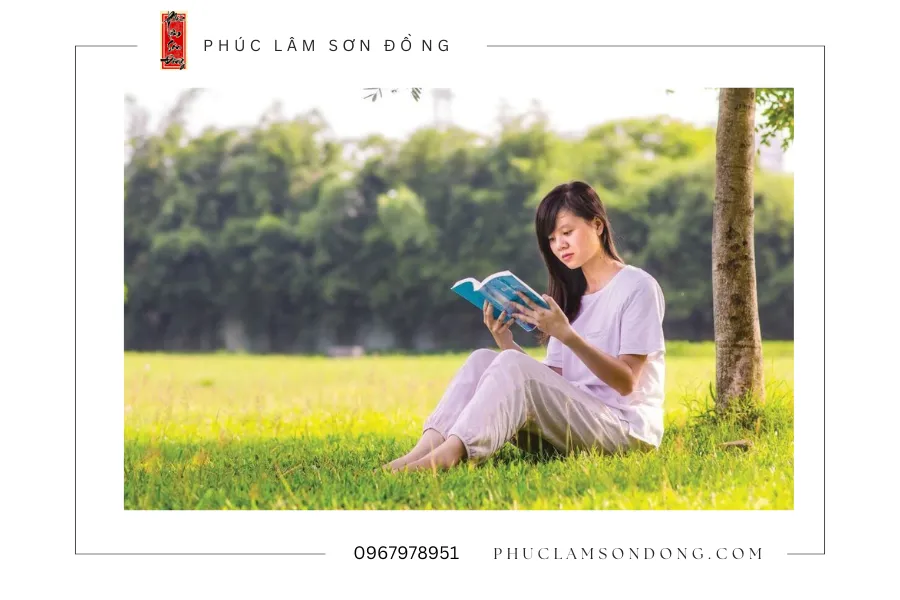Chuyển pháp luân là gì