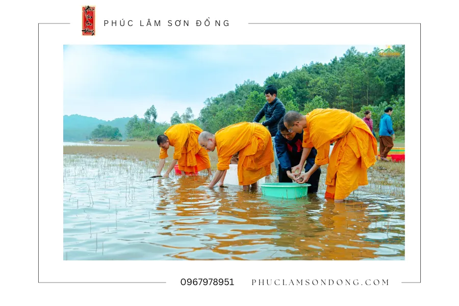 Phóng sinh
