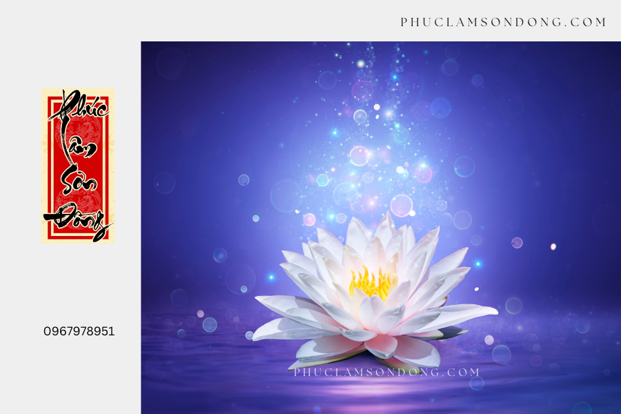 Hoa sen và ý nghĩa của nó trong Phật giáo