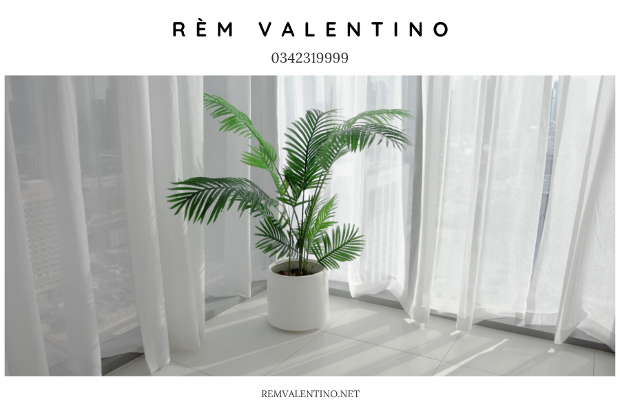 Bước vào thế giới nhẹ nhàng và tinh khôi với rèm vải voan